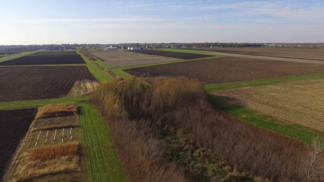 Illinois Should Plan to Reopen Regionally