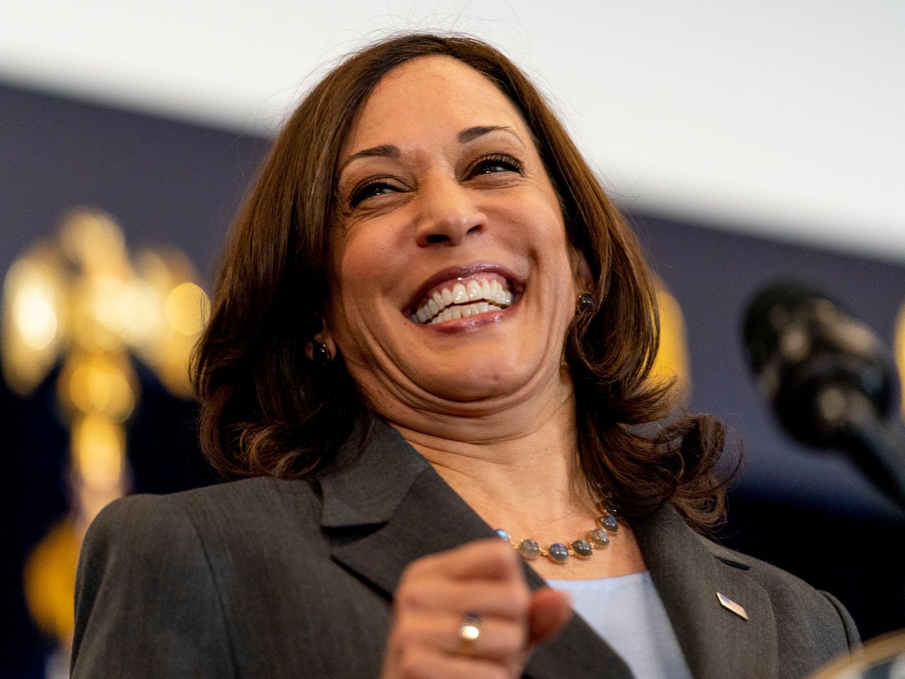 ILGOP Statement on Vice President Harris’ Visit to Chicago￼