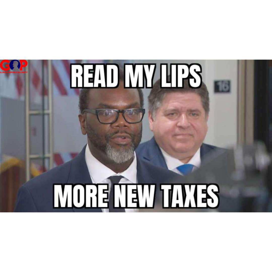 Trouble in Paradise? Illinois Democrats Split Over Who is to Blame